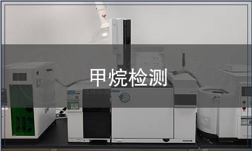 甲烷檢測