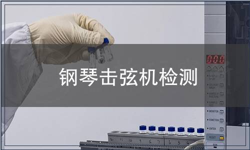 鋼琴擊弦機檢測